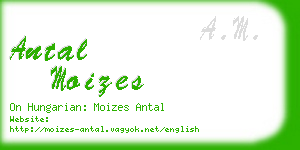 antal moizes business card